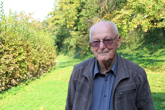 Slika članka