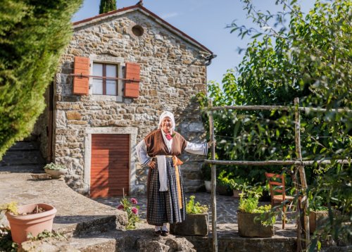 Slika članka
