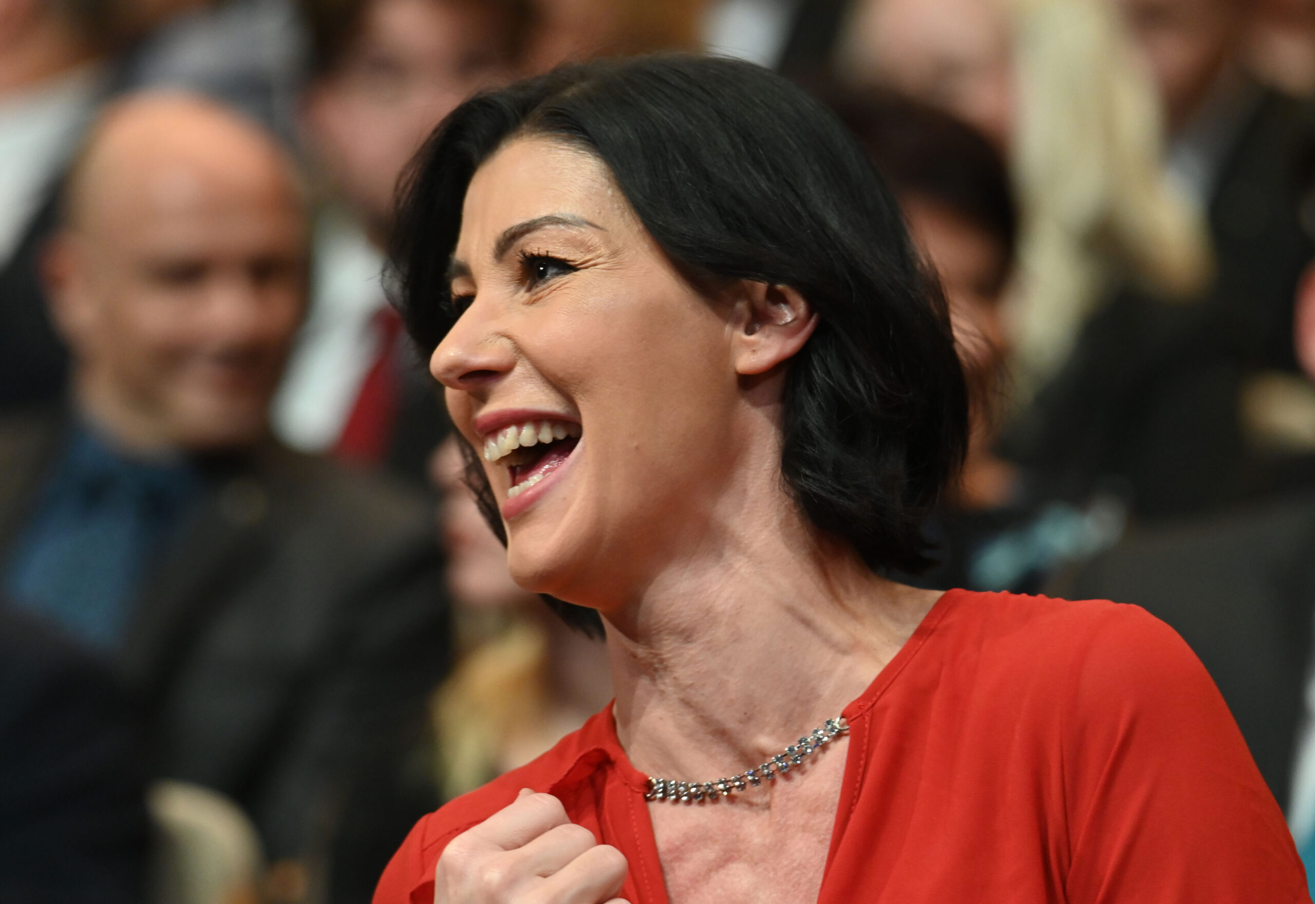 Slika članka