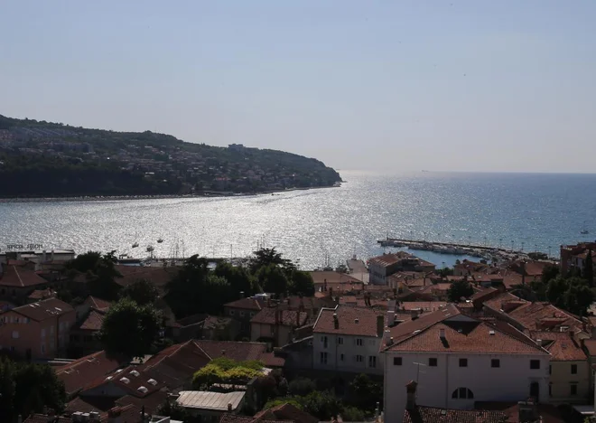 Slika članka