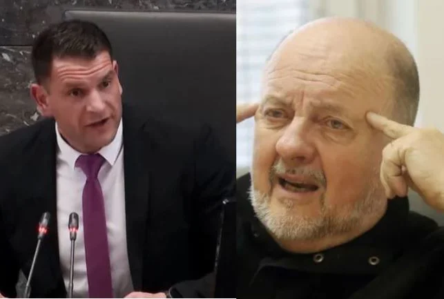 Slika članka