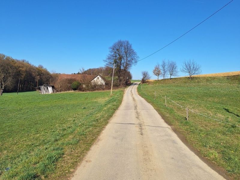 Slika članka