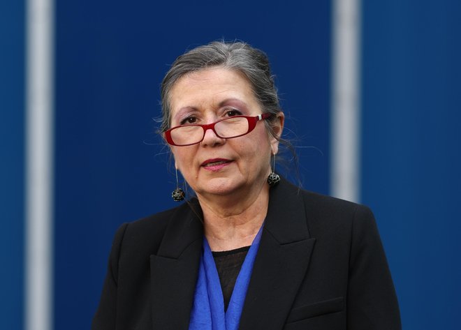Slika članka