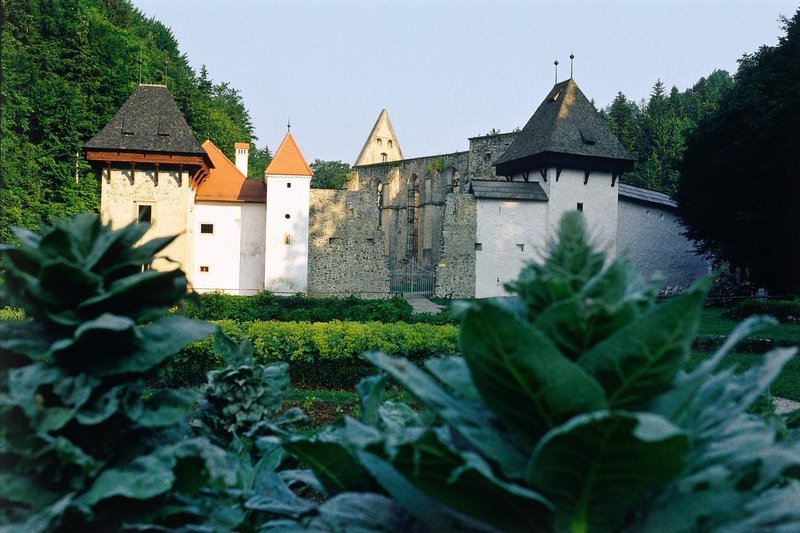 Slika članka