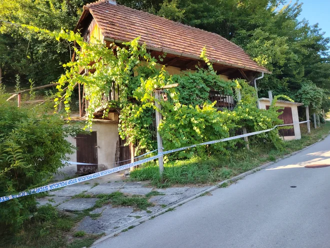 Slika članka