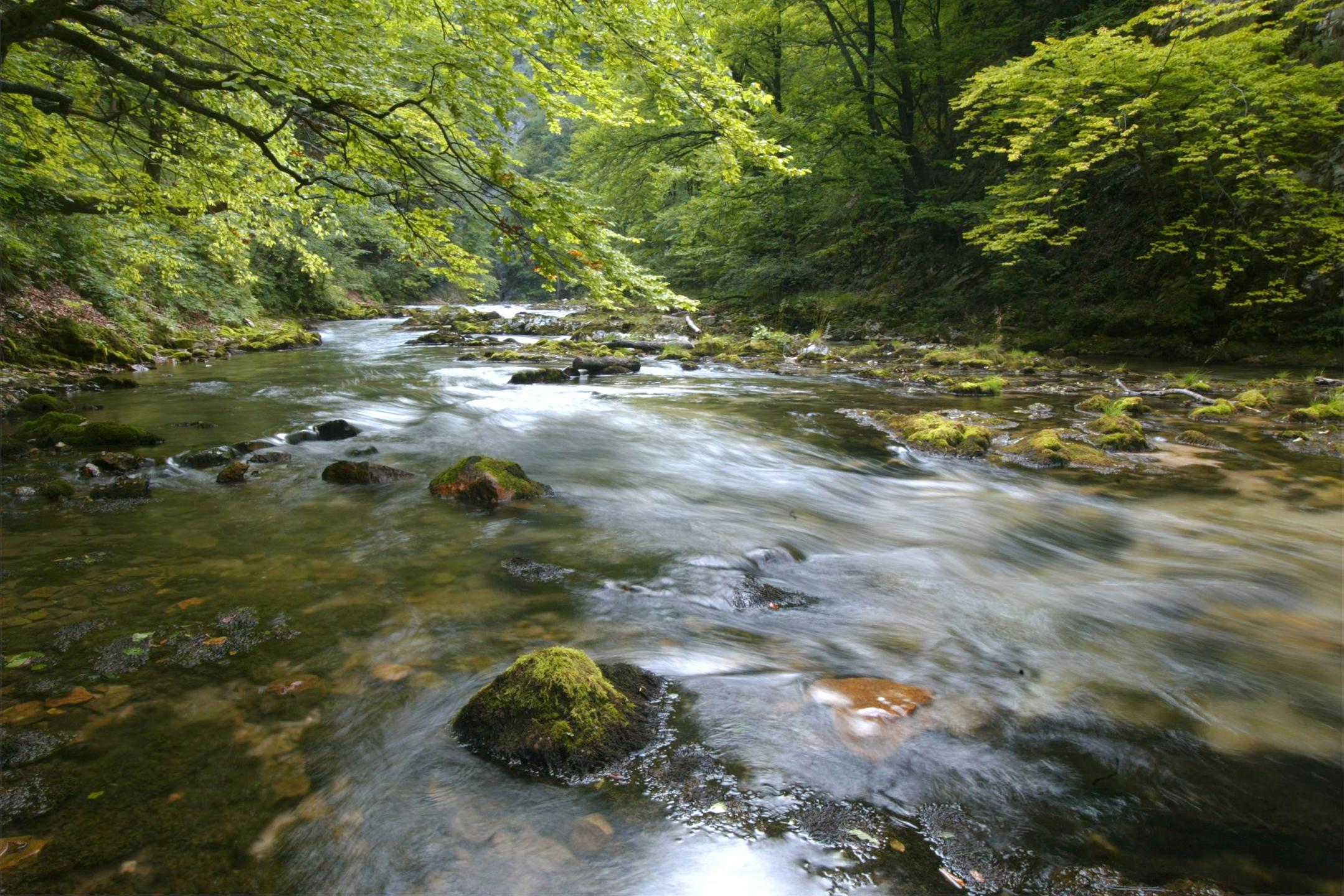 Slika članka