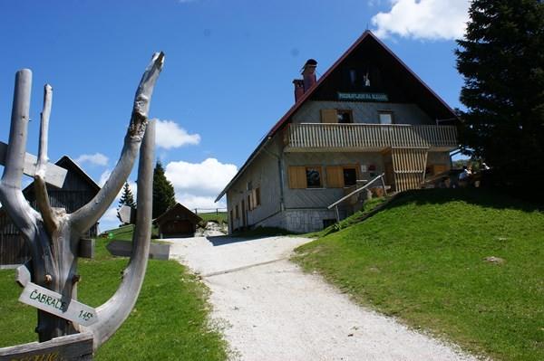 Slika članka