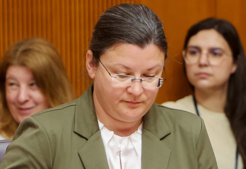 Slika članka