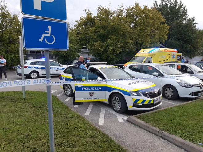 Slika članka