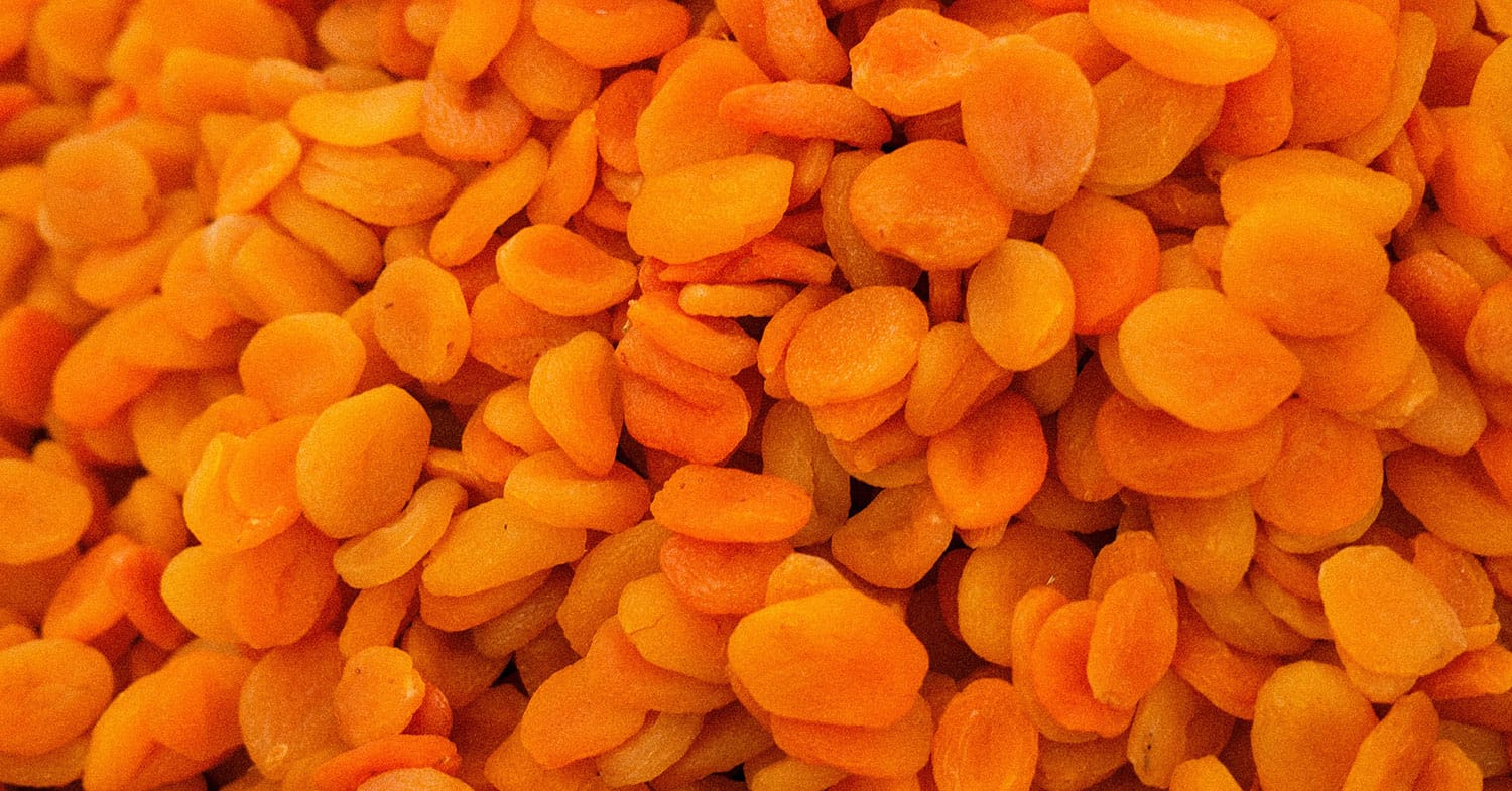 Slika članka