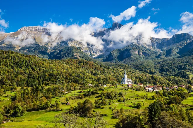 Slika članka
