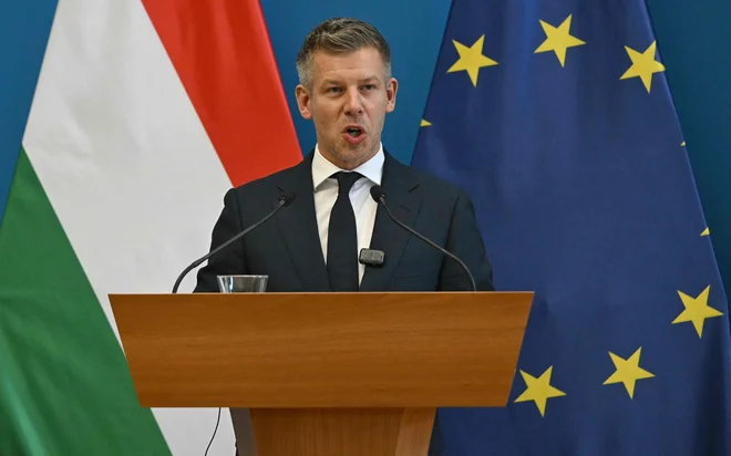Slika članka