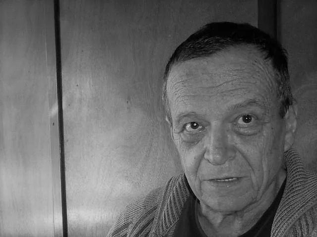 Slika članka