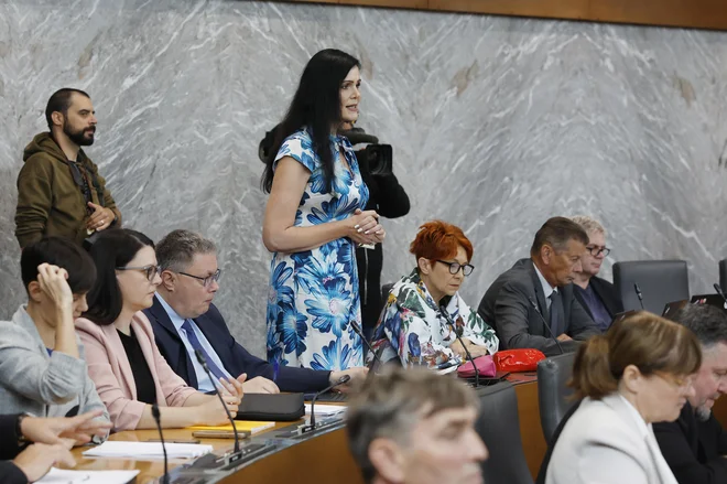 Slika članka