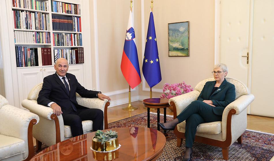 Slika članka