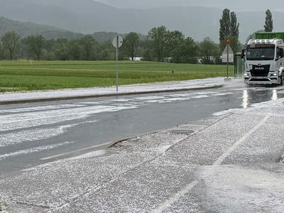 Slika članka