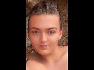 Slika članka