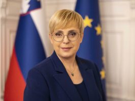 Slika članka
