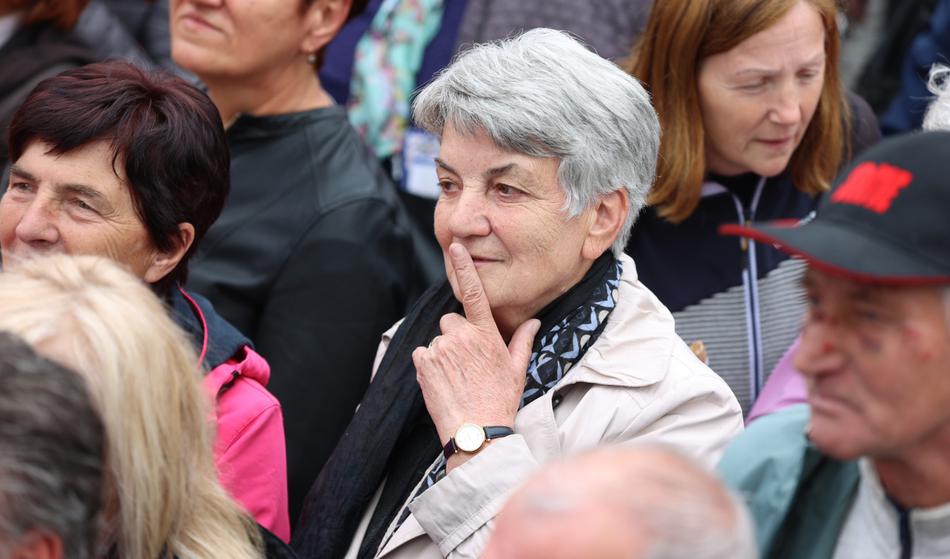 Slika članka