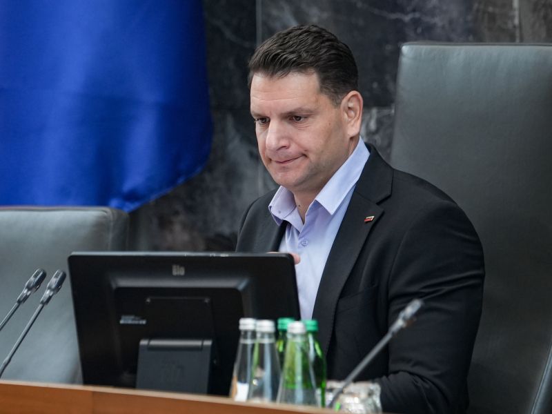 Slika članka