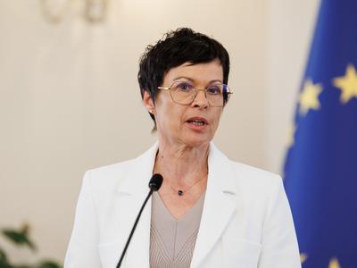 Slika članka