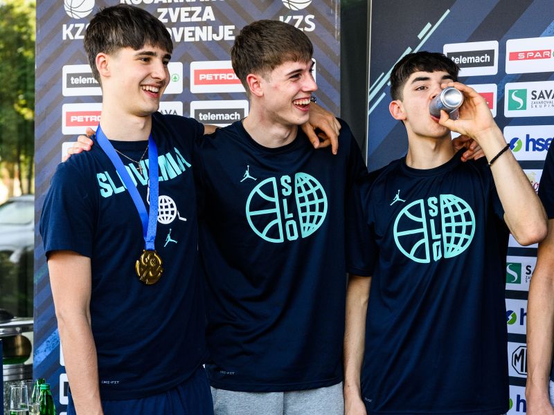 Slika članka