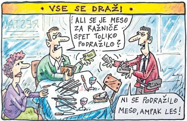 Slika članka