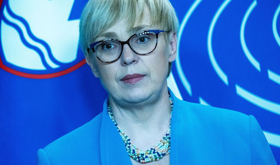 Slika članka