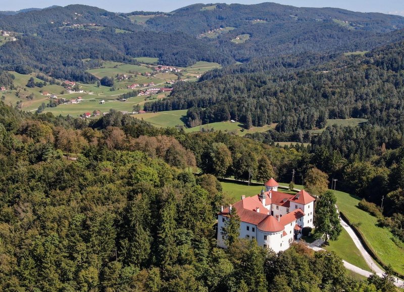 Slika članka
