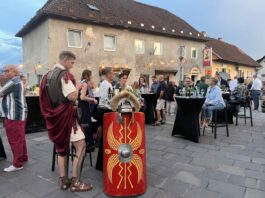 Slika članka