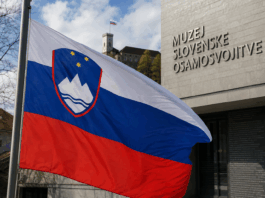Slika članka