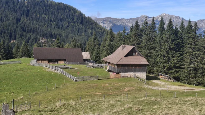 Slika članka