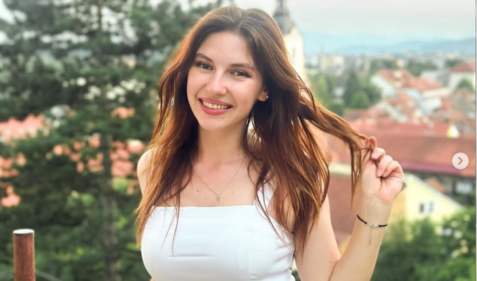 Slika članka