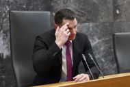 Slika članka