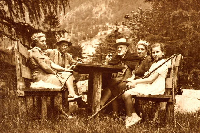 Slika članka