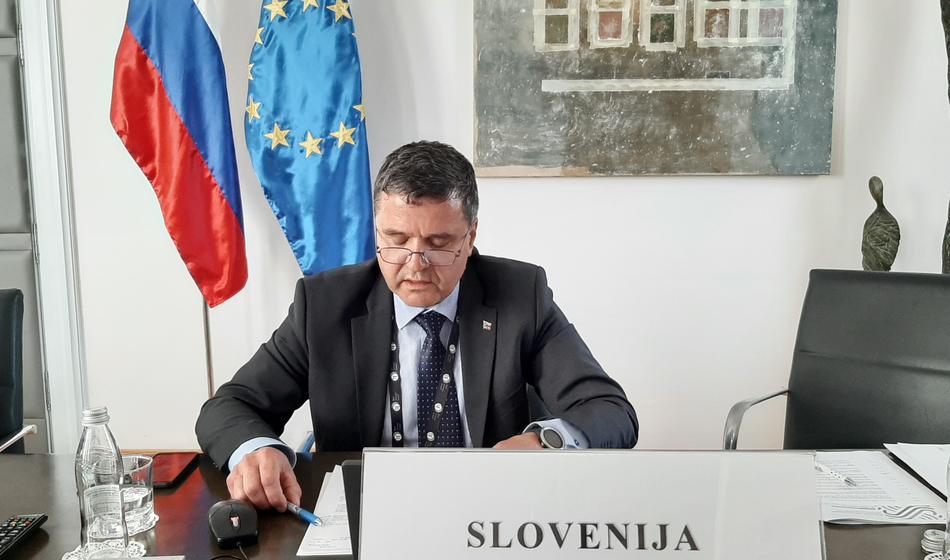 Slika članka