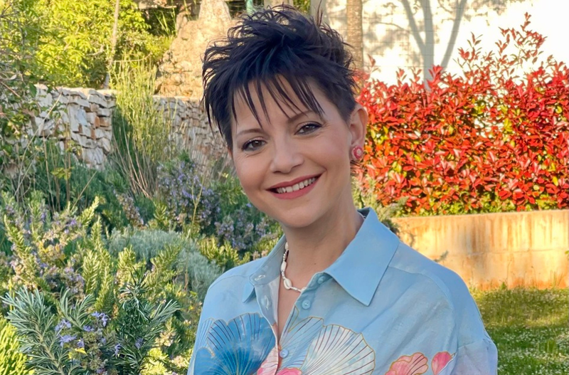 Slika članka