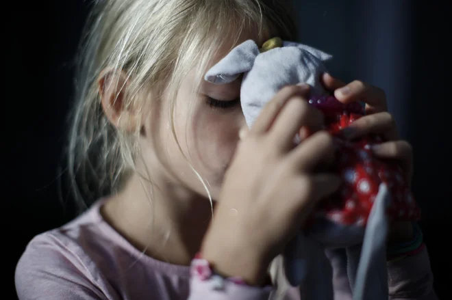 Slika članka