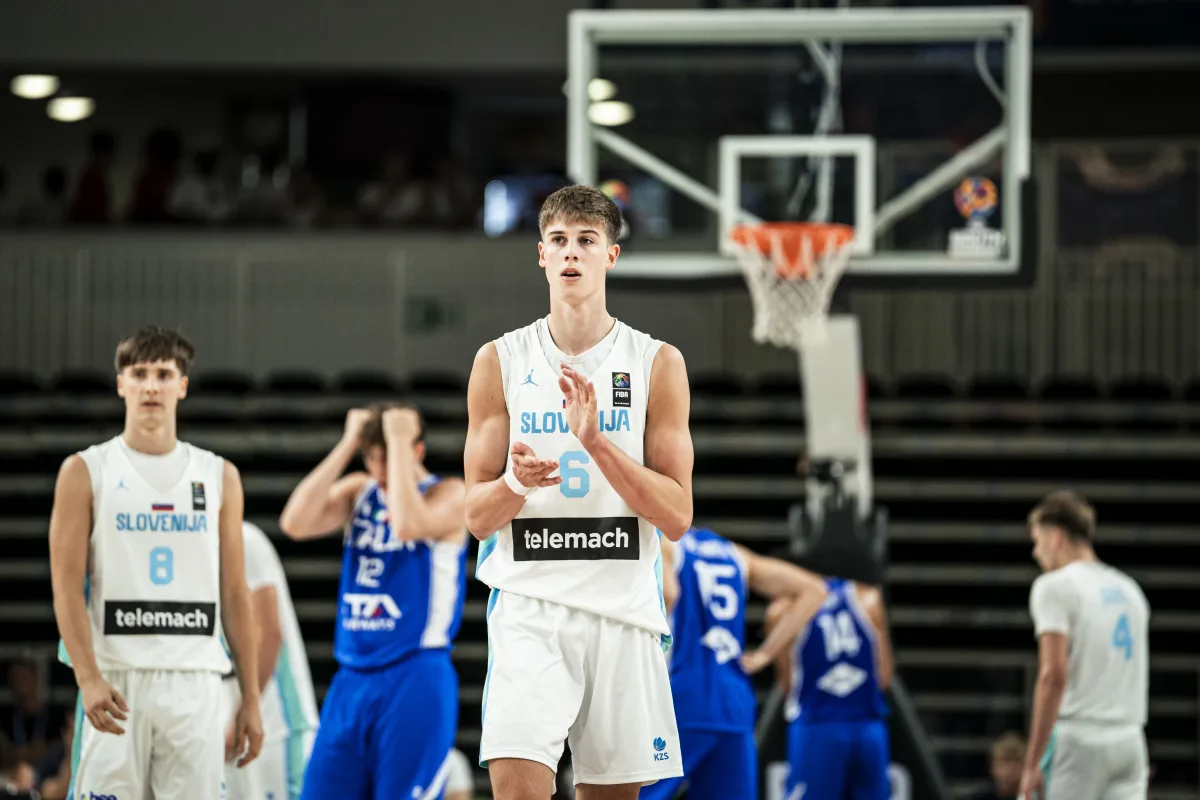 Slika članka