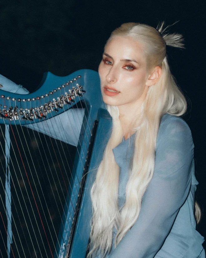 Slika članka