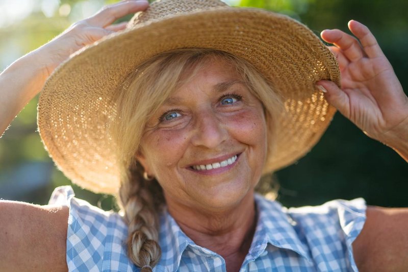 Slika članka