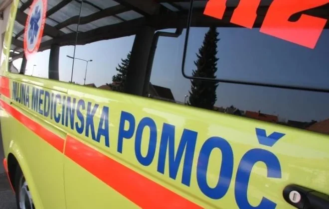 Slika članka