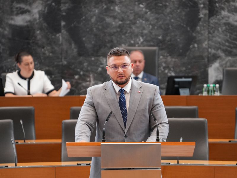 Slika članka
