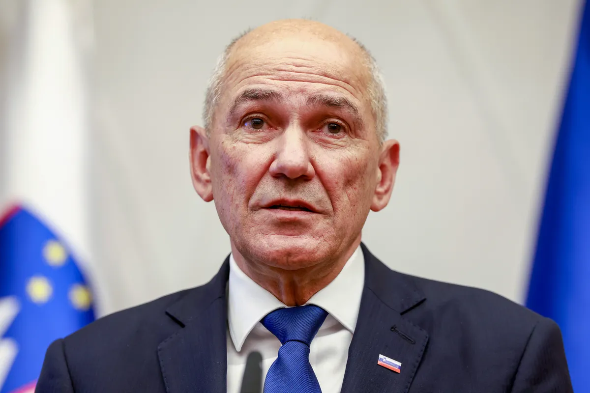 Slika članka