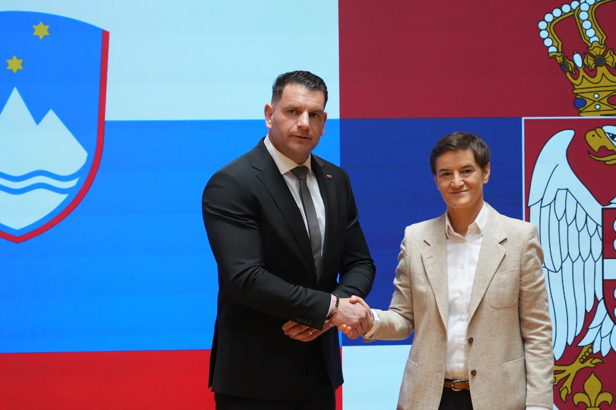 Slika članka