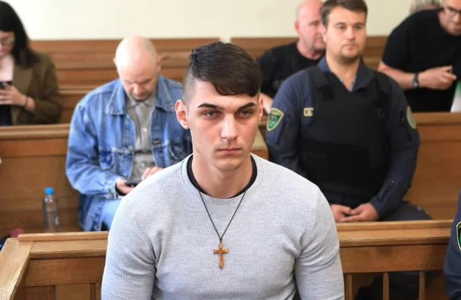 Slika članka