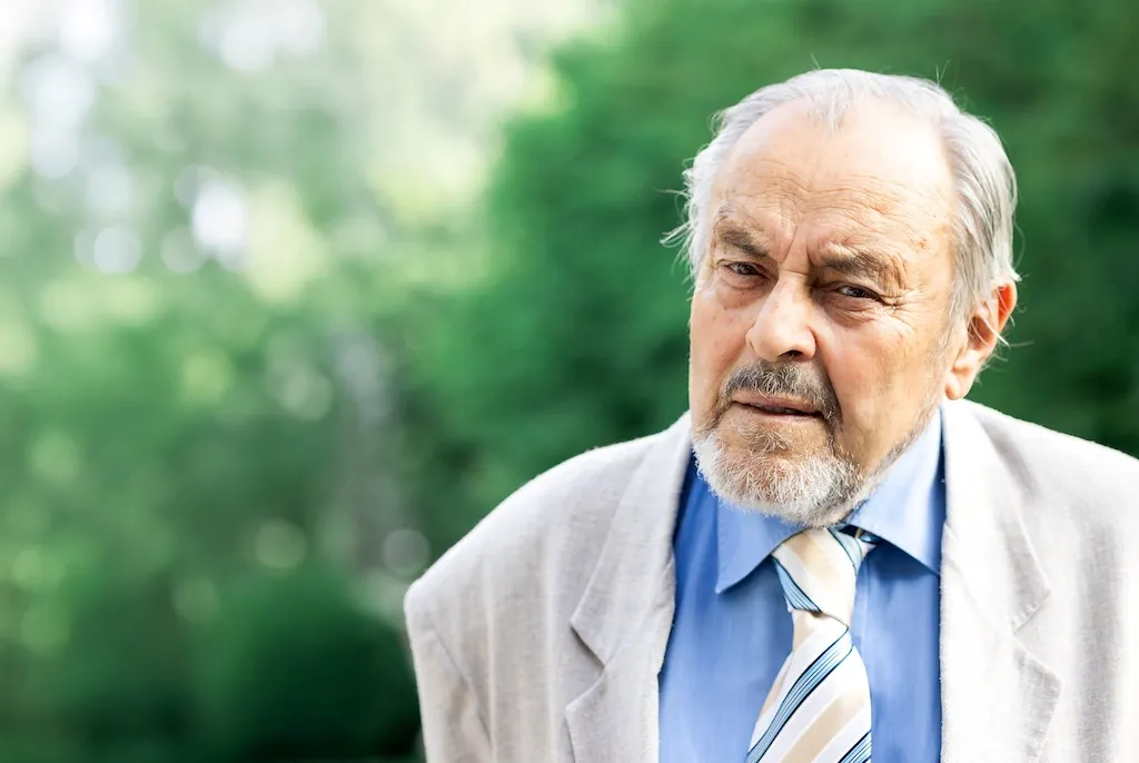 Slika članka