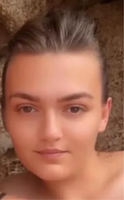 Slika članka