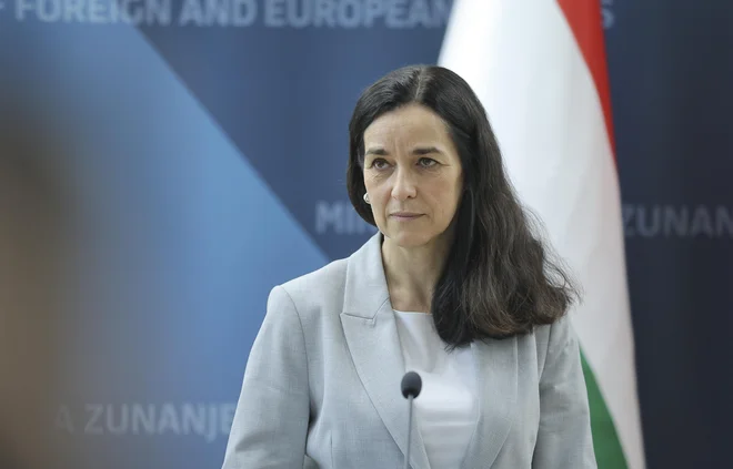 Slika članka