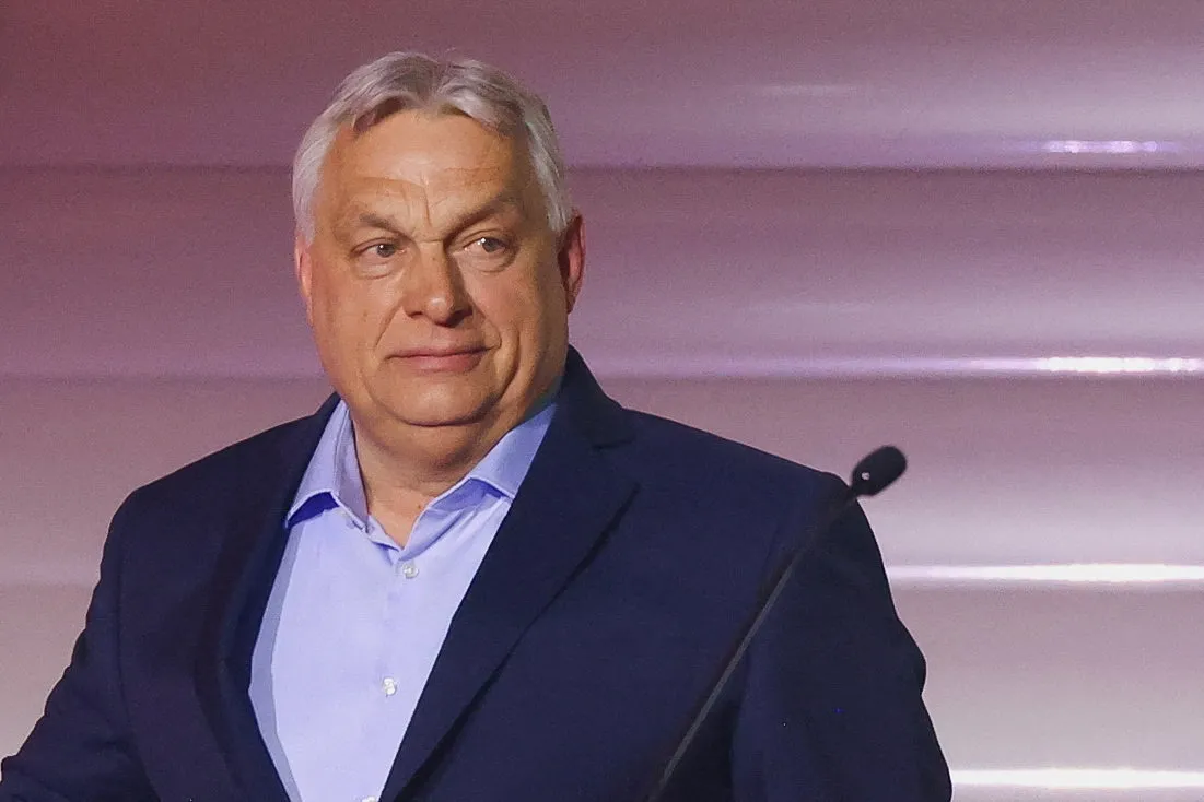 Slika članka